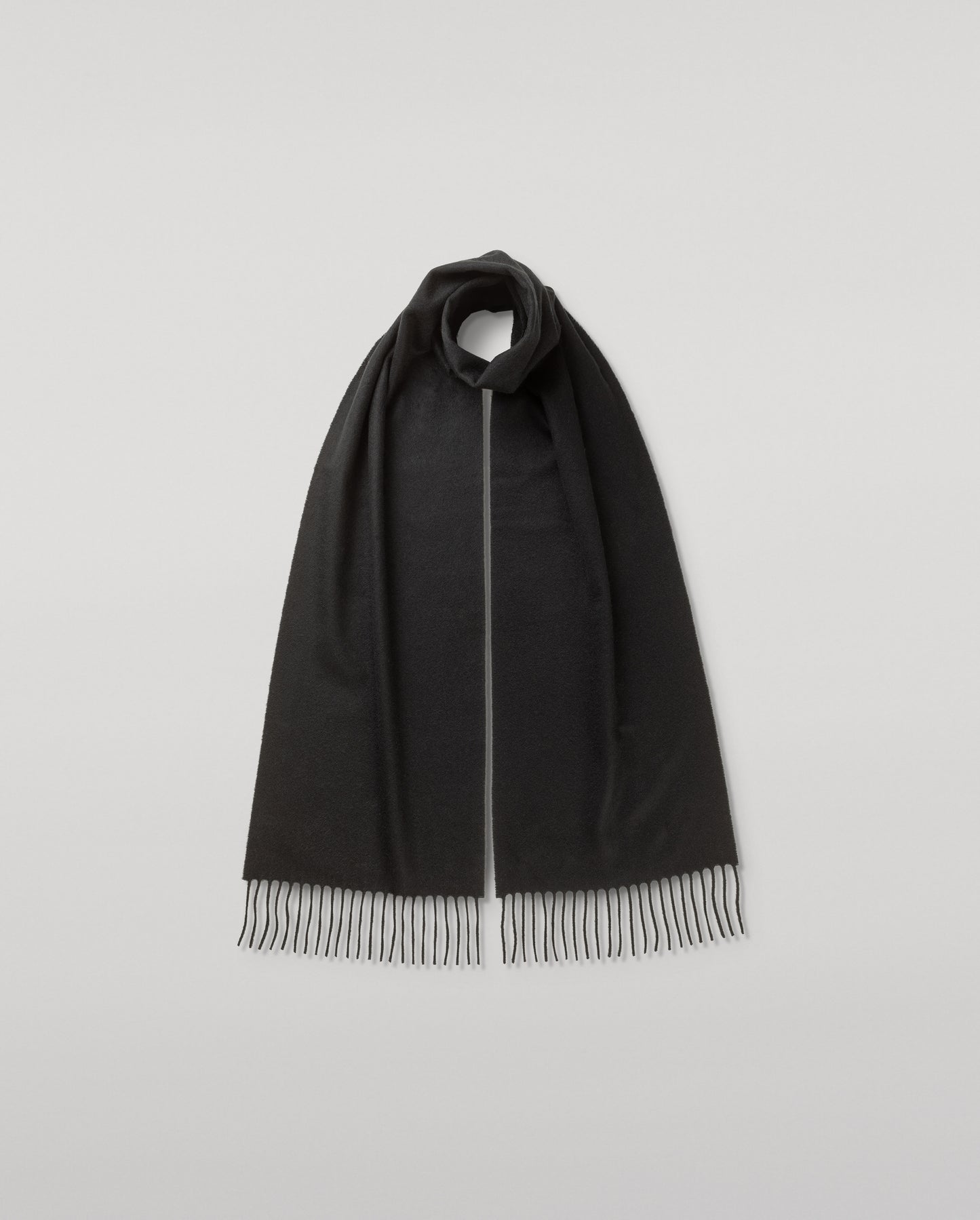 Johnstons of Elgin Cashmere Scarf in Black on a white background WA000016SA0900N/A