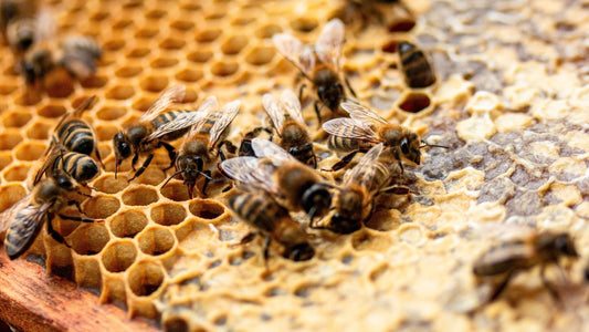 Creating A Buzz