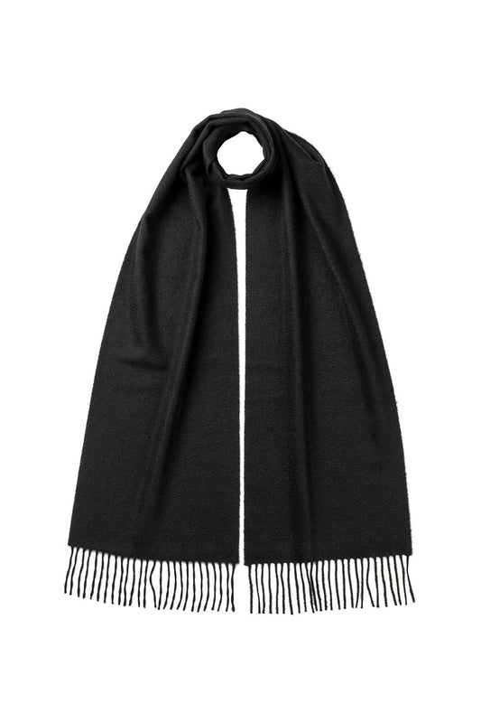 Johnstons of Elgin Cashmere Scarf in Black on a white background WA000016SA0900N/A