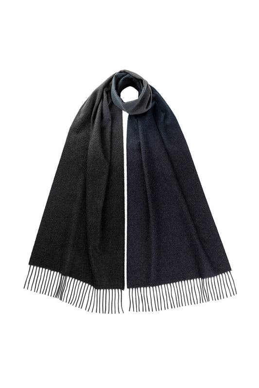 Johnstons of Elgin 100% Cashmere Ombre Scarf in Black & Navy on a white background WA000057RU7302ONE