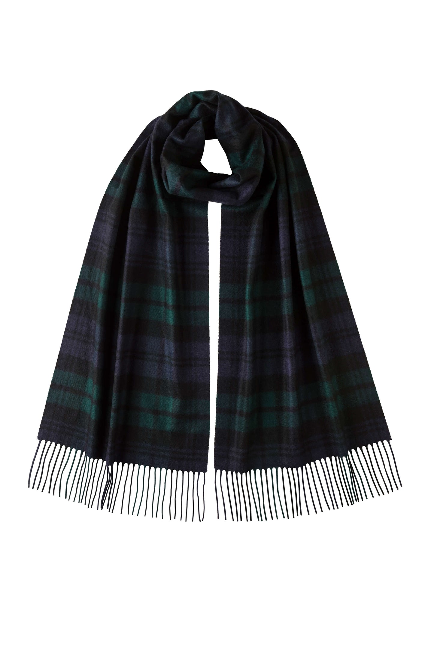 Johnstons of Elgin AW24 Woven Accessory Black Watch Wide Tartan Cashmere Scarf WA000057KU0317N/A