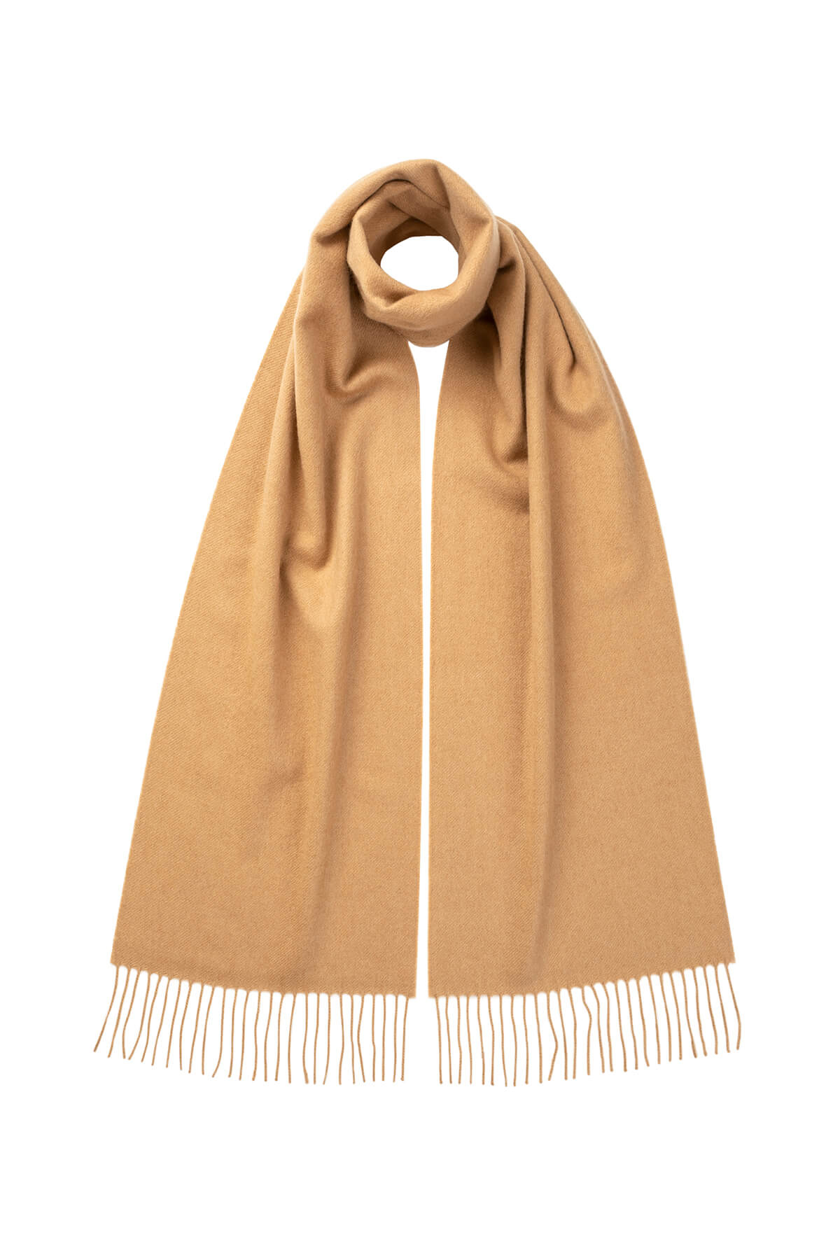 Johnstons of Elgin Cashmere Scarf in Camel on a white background WA000016HB4315ONE