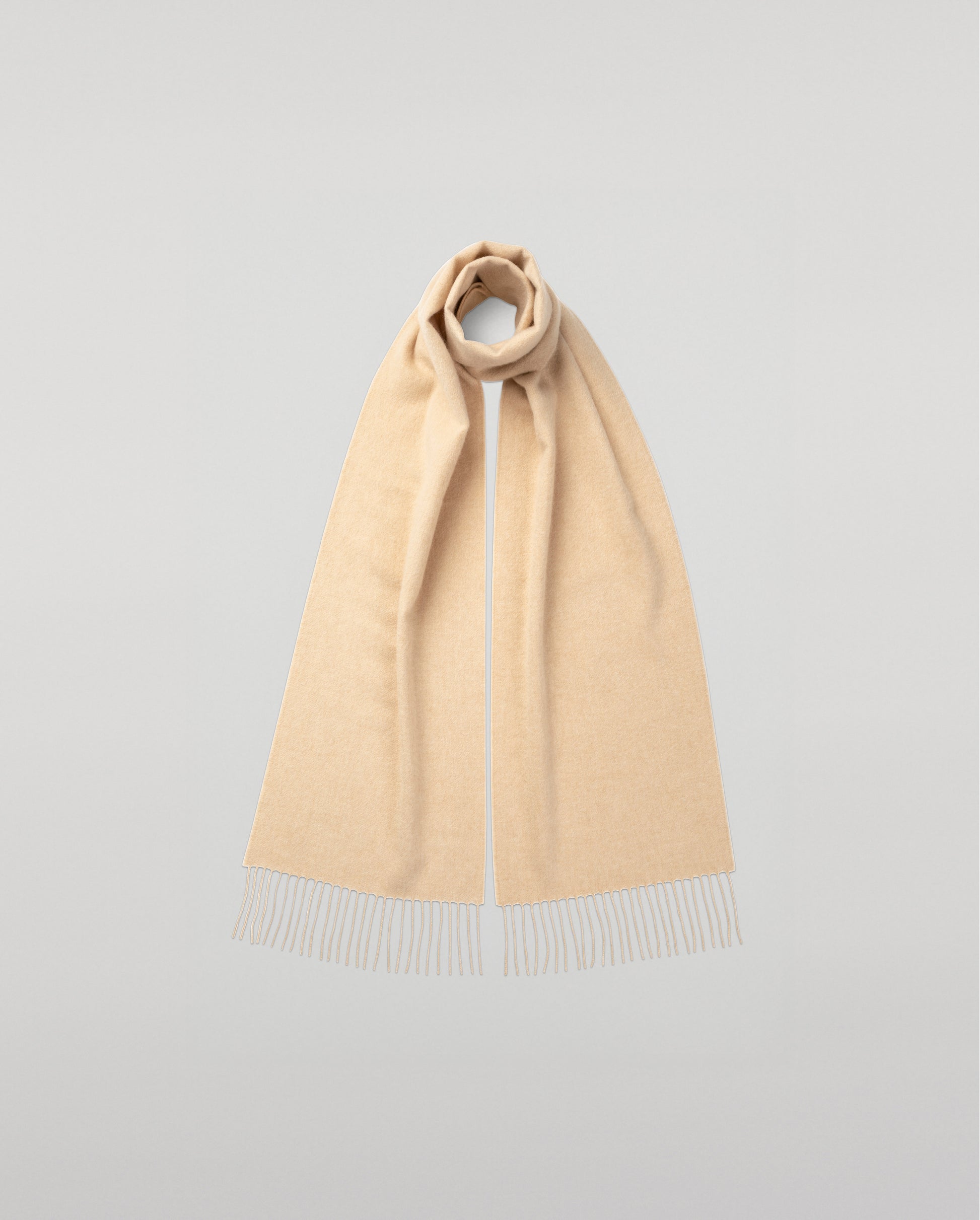 Johnstons of Elgin Cashmere Scarf in Blonde on a white background WA000016HB0167ONE