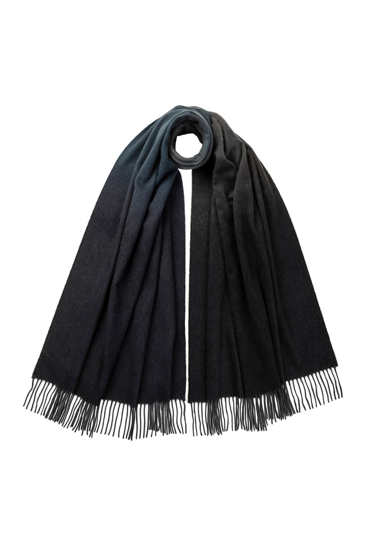 Johnstons of Elgin 100% Cashmere Ombre Stole in Black & Navy on a white background WA000056RU7302ONE