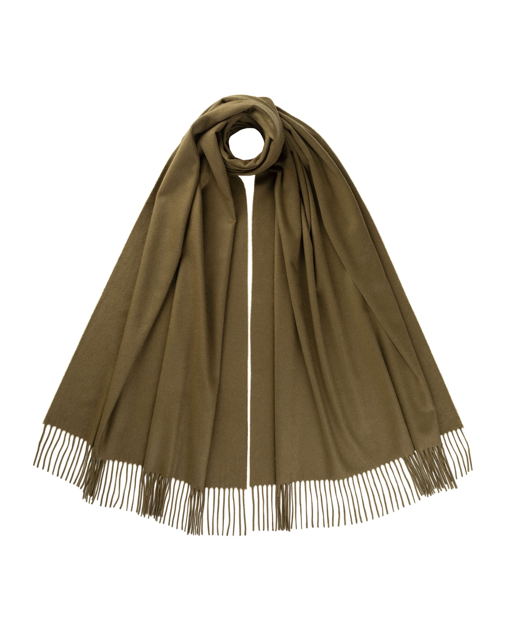 Olive Green Cashmere Stole