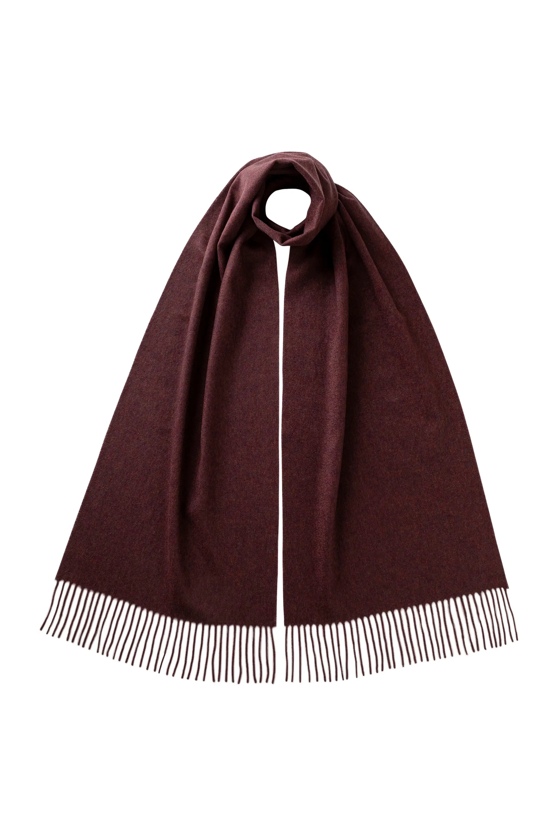 Johnstons of Elgin AW25 Woven Accessories Damson Damson Wide Cashmere Scarf WA000057HE7062ONE