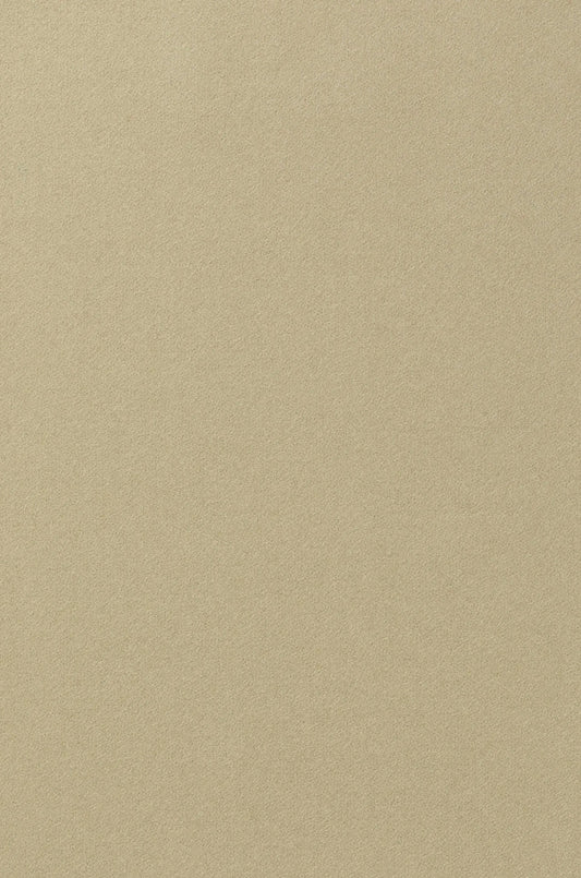 100% Wool Felt Fabric in Silver Sage | Home Furnishings by Johnstons of Elgin CD000735 SC4629PD