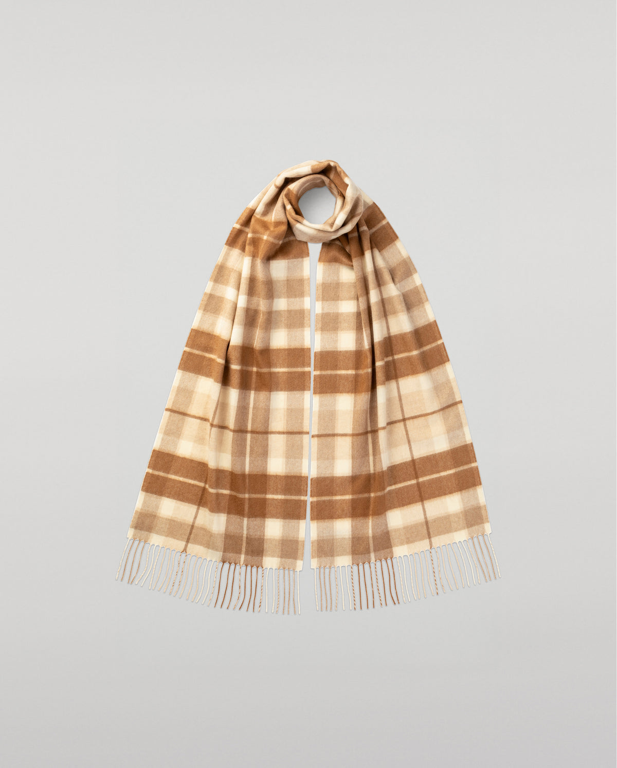 Check Cashmere & Vicuña Scarf